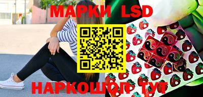 бошки Сланцы