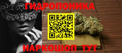 mdpv Славгород
