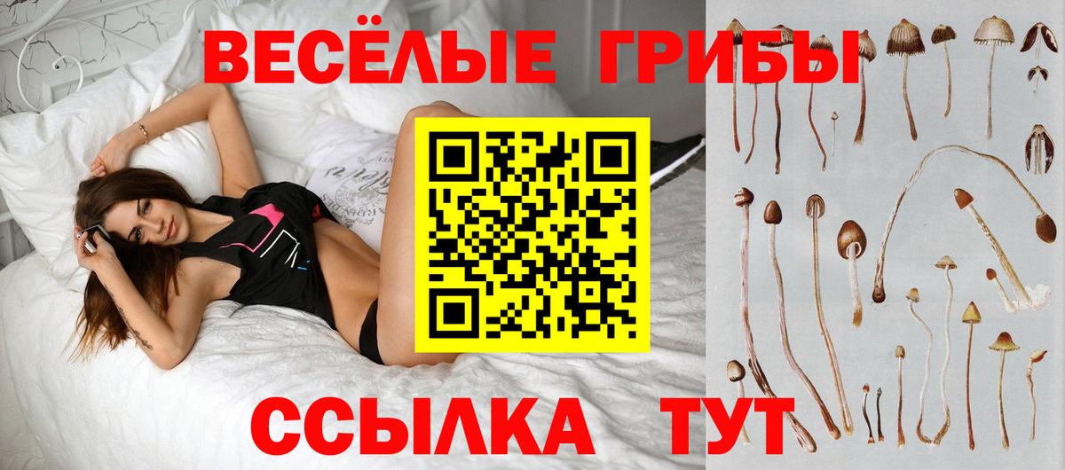 Острогожск  Галлюциногенные грибы Magic Shrooms  Вход с VPN  Галлюциногенные грибы Magic Shrooms 